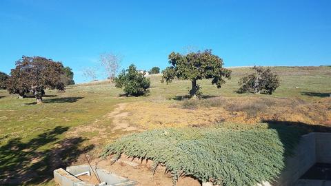 4074 Linda Vista Dr, Fallbrook, CA 92028 photo 5