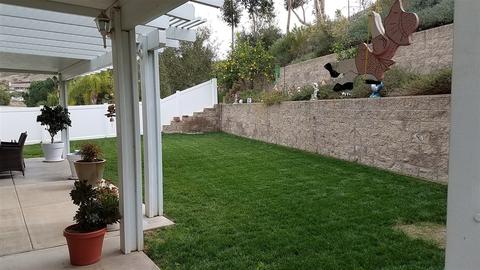 8507 Mesa Hts, Santee, CA 92071 photo 20