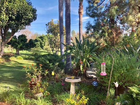 3218 Alta Vista Dr, Fallbrook, CA 92028 photo 8