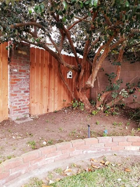 359 S Penn Dr, Orange, CA 92866 photo 5