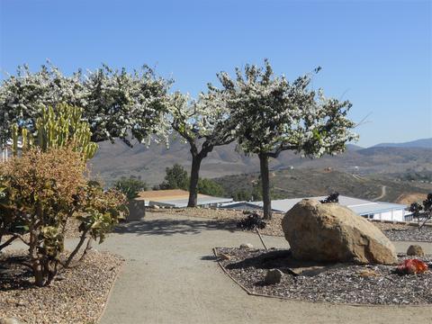 275 S Worthington #63, Spring Valley, CA 91977 photo 21