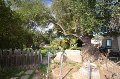 1821 Suncrest Blvd, El Cajon, CA 92021 photo 21