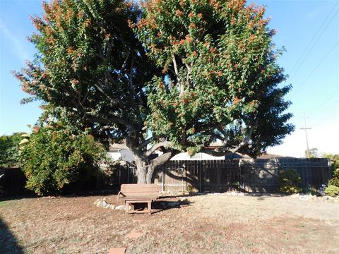 7500 Crary St, La Mesa, CA 91942 photo 20
