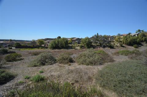 12124 Mannix Rd, San Diego, CA 92129 photo 25