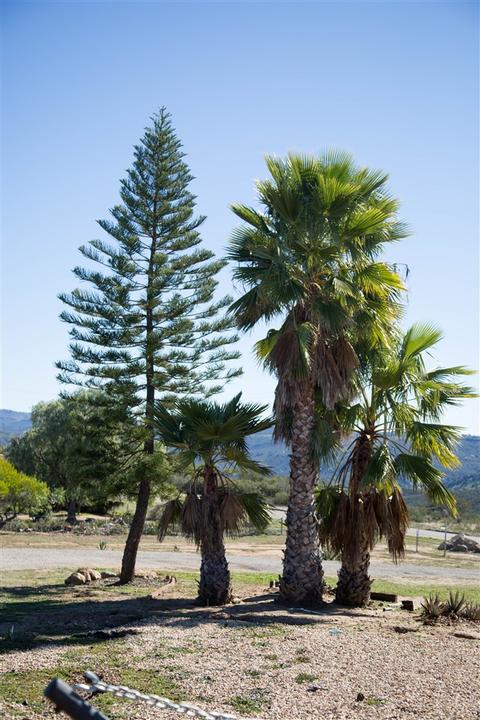 16034 Wizard, Valley Center, CA 92082 photo 22