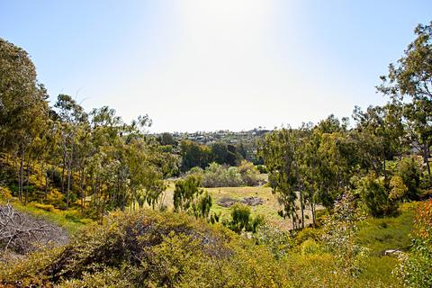 3473 Lawrence St, Carlsbad, CA 92010 photo 2