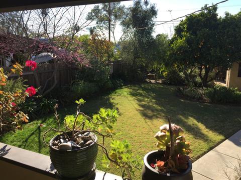 4050 Paula St, La Mesa, CA 91941 photo 12