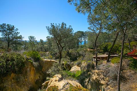 461 465 Hidden Pines Ln, Del Mar, CA 92014 photo 7