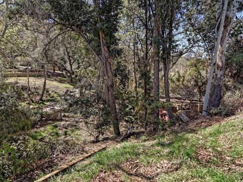 13601 Jamul Dr, Jamul, CA 91935 photo 8