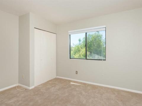 20485 Deerhorn Valley Rd, Jamul, CA 91935 photo 22