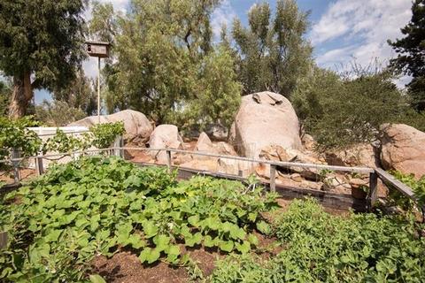 16144 Del Norte, Poway, CA 92064 photo 17