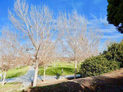 4738 Gardenia St, Oceanside, CA 92057 photo 9