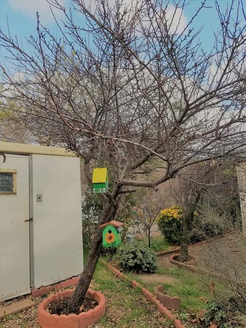 2400 Alpine Blvd #16, Alpine, CA 91901 photo 25