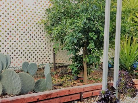 2400 Alpine Blvd #16, Alpine, CA 91901 photo 20