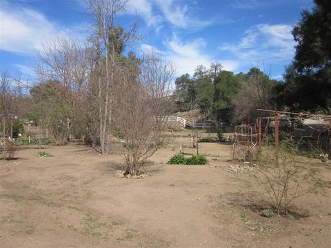 14061 Fernbrook Dr, Ramona, CA 92065 photo 6