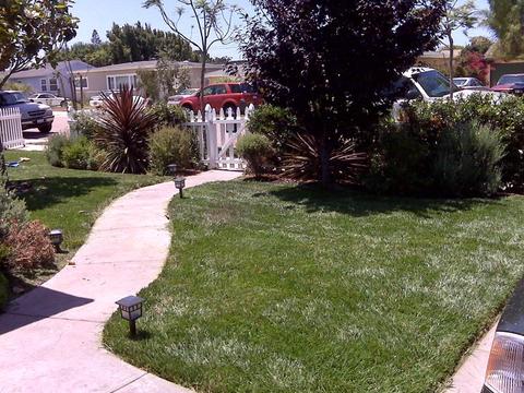 1167 Delaware St, Imperial Beach, CA 91932 photo 3