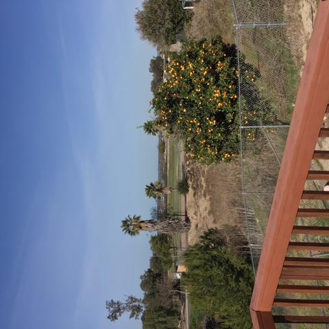 2817 Brandeis Dr, Oceanside, CA 92056 photo 2
