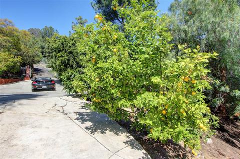 1768 Hidden Mesa Rd, El Cajon, CA 92019 photo 25
