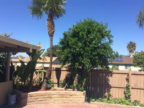 1150 Beverly Way, Escondido, CA 92026 photo 13