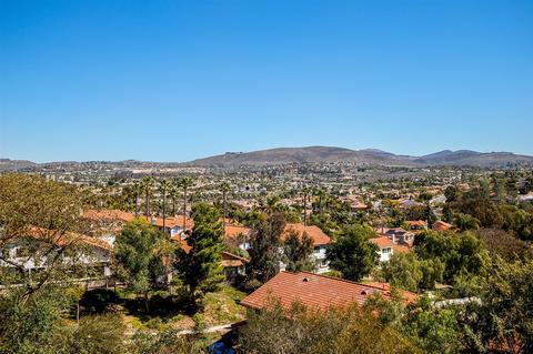2317 Summerhill Dr, Encinitas, CA 92024 photo 23