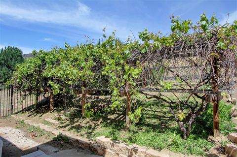 14747 Wild Colt Pl, Jamul, CA 91935 photo 20