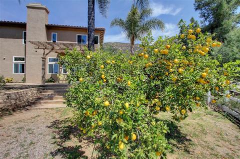14747 Wild Colt Pl, Jamul, CA 91935 photo 19
