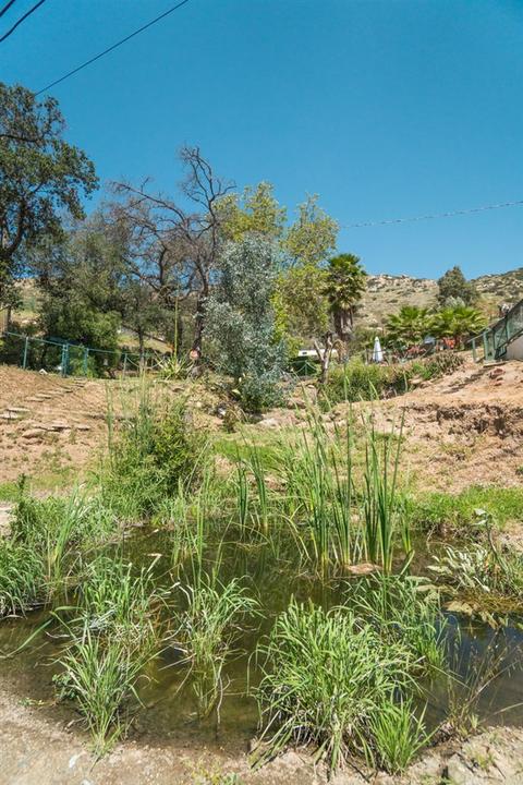 1057 Dehesa Ranch Rd, El Cajon, CA 92019 photo 19