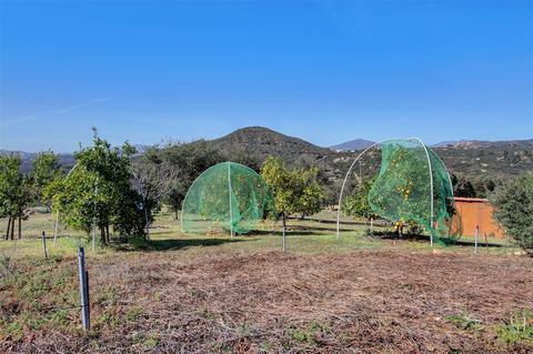 4510 Hilary Dr, Jamul, CA 91935 photo 23