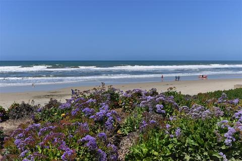 1847 Santa Fe Ave, Del Mar, CA 92014 photo 25