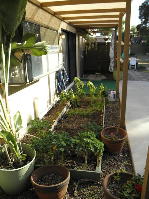 934 Vallata Ln, Spring Valley, CA 91977 photo 20