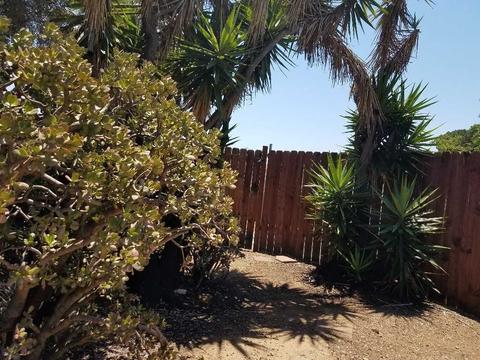 4636 Lee Ave, La Mesa, CA 91942 photo 18