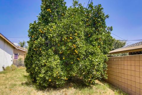 521 Wayne Ave, El Cajon, CA 92021 photo 10