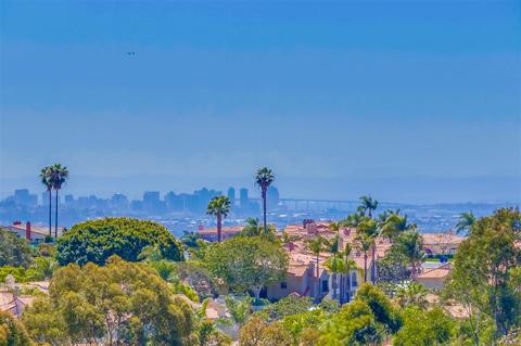 1751 Colgate Cir, La Jolla, CA 92037 photo 24