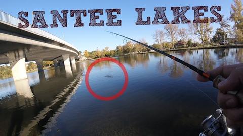 8823 Cherry Hills Rd, Santee, CA 92071 photo 15
