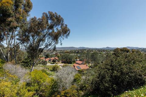 335 Via Andalusia, Encinitas, CA 92024 photo 21