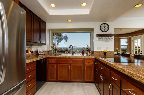335 Via Andalusia, Encinitas, CA 92024 photo 11