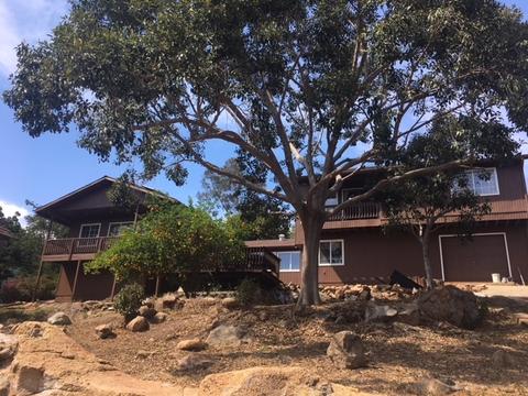 9919 San Cristobal Rd, Spring Valley, CA 91977 photo 3