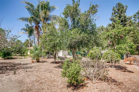 1159 Saxony Rd, Encinitas, CA 92024 photo 25