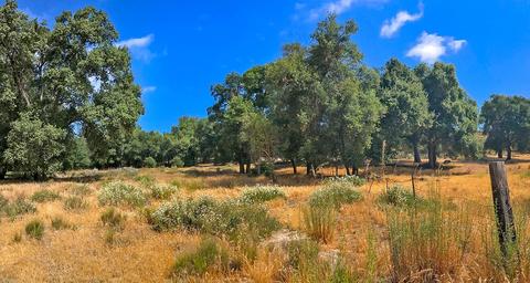 2445 La Posta Rd, Campo, CA 91906 photo 19