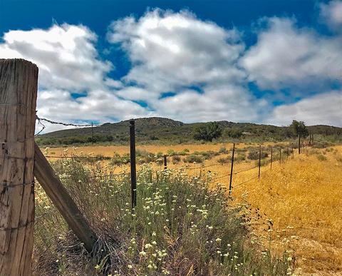 2445 La Posta Rd, Campo, CA 91906 photo 9