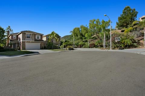 6894 Via Borregos, Carlsbad, CA 92009 photo 25