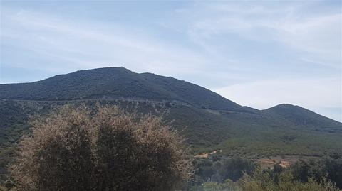 29159 Laguna Trl, Pine Valley, CA 91962 photo 15