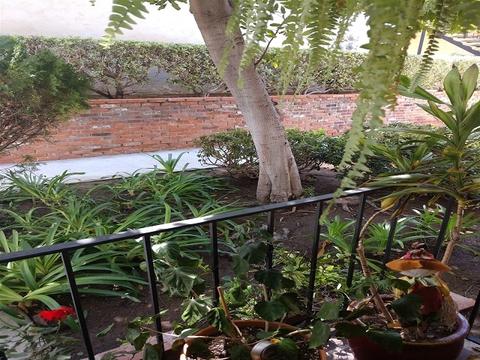 4800 Williamsburg Ln #143, La Mesa, CA 91942 photo 24