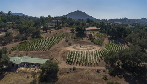 18011 Bluegrass Rd, Ramona, CA 92065 photo 22