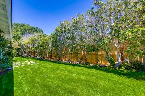 6445 Avenida Wilfredo, La Jolla, CA 92037 photo 20