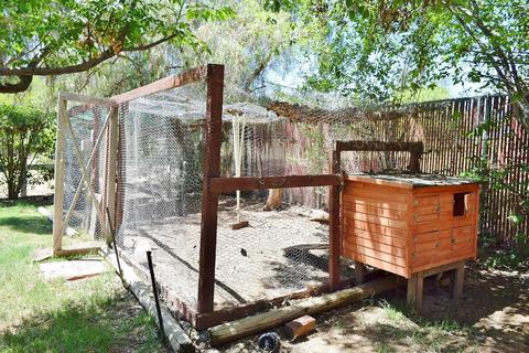 594 Country Ter, Ramona, CA 92065 photo 17