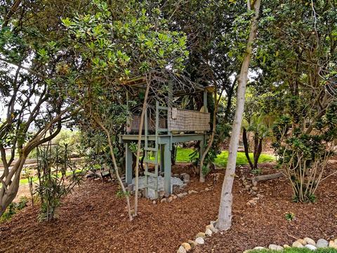 820 Woodside Ln, Encinitas, CA 92024 photo 6