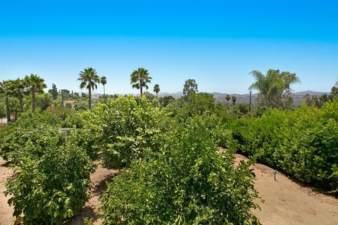 2588 La Serena, Escondido, CA 92025 photo 23