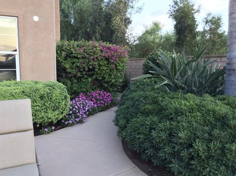 3208 Skyline View Gln, Escondido, CA 92027 photo 24