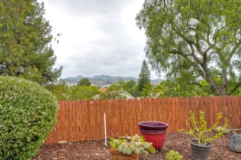 565 Boysenberry Way, Oceanside, CA 92057 photo 19